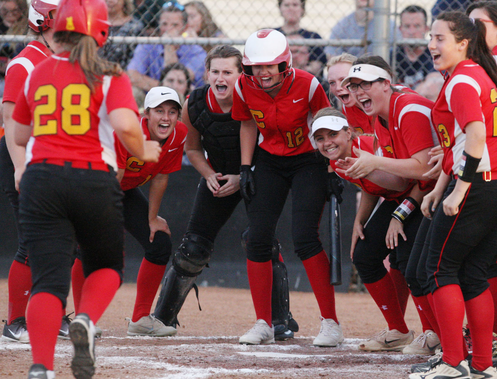 Charleston Softball